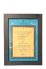 کسب مقام دوم در محور اقتصاد دیجیتال
